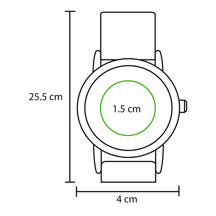RP047 - Image 3